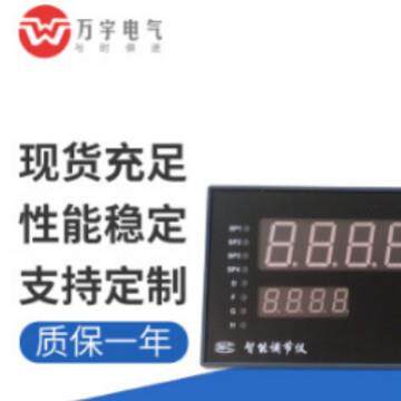 DH021B222000124PAH双回路控制仪