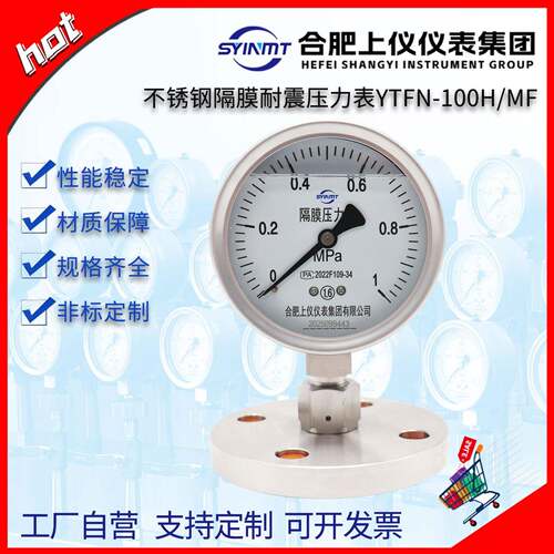 合肥上仪YTFN100H/MF不锈钢耐震隔膜压力表0.6mpa法兰压力表DN25