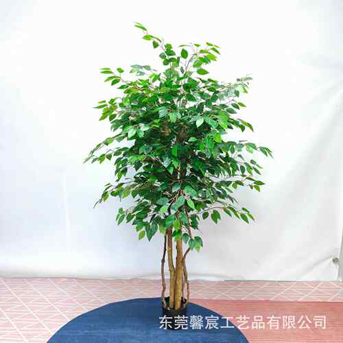 仿真榕树真植木无品牌/杆迷你树榕盆小叶榕栽仿真绿仿真树室内装