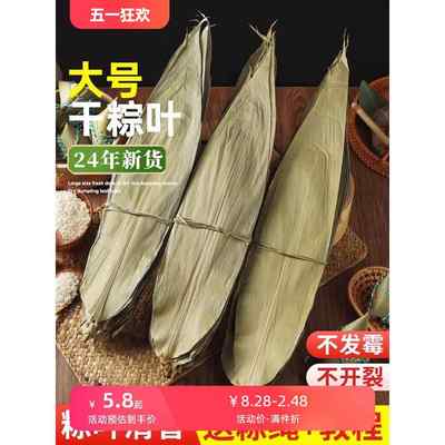 粽子叶粽叶干大号棕叶新鲜包粽子的竹叶子干粽叶商用箬叶材料