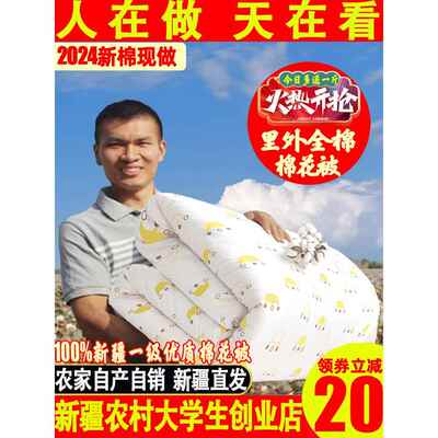 新疆棉被里外全棉秋冬被子纯棉花被垫被棉絮床垫褥子棉胎被芯