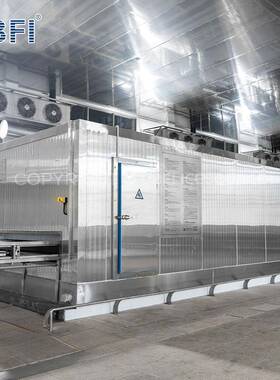 大型连续式隧道速冻机食品速冻生产线高效节能日产量1-20吨