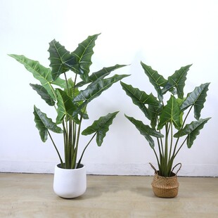 新款仿真假植萨利安海芋叶盆栽假树室内客厅仿真植物景观装饰摆件