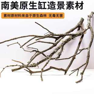 鱼缸造景南美缸树枝黄梨木沉木雨林缸带皮鹿角枝黄栎木香槟木树干