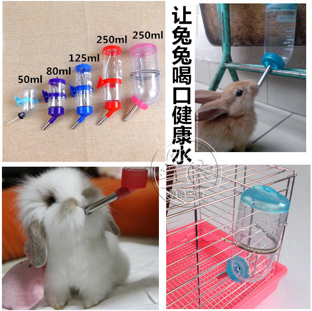 兔滚珠龙饮水瓶喂荷兰猪水壶水饮水机兔子水器仓鼠自动兔喝水猫