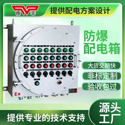 惟丰防爆控制箱接线盒电控制按钮开关检修配电箱正压柜厂断路器
