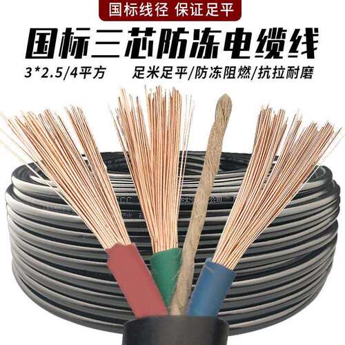 户外防冻牛筋线电缆线3芯电线1.52.54平方护套软线电源插头带线