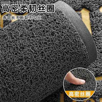 地垫入户门垫耐脏免洗家出安入平KUR地毯进门户门外口进门丝用圈