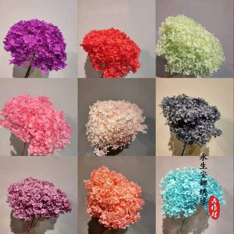 云南永生花绣球安娜绣球花保鲜木绣球七夕情人节礼盒花材装饰礼花