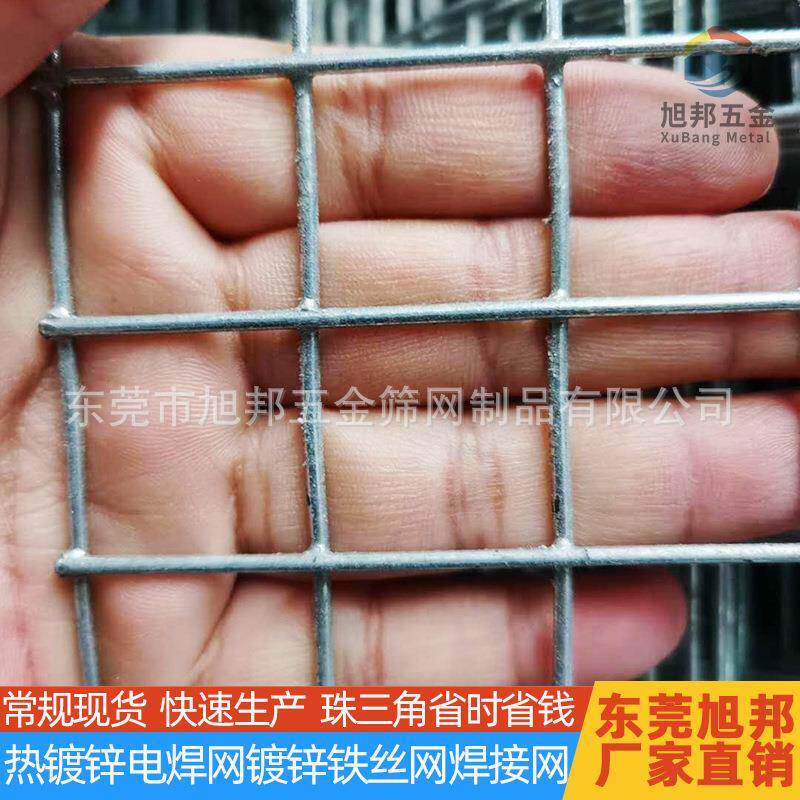 厂家可定制热镀锌电焊网墙体防裂电焊网圈玉米铁丝网建筑保温网