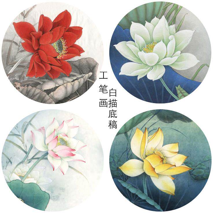TW09工笔画荷花团扇4幅白描底稿线描稿初学者临摹勾线实物打印稿
