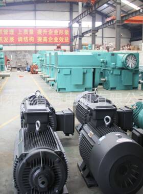 出口朝鲜三相异步电机450kw山东华普特 YKK 或YVPKK高压电机 6kv