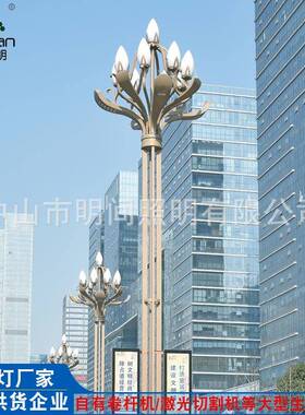 厂家直销8米9米15米八叉九火玉兰灯 户外公园广场景观LED中华路灯