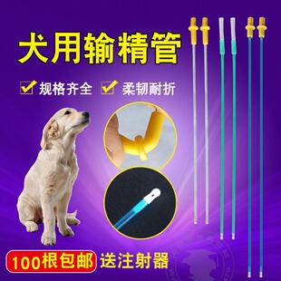 狗用人工受精器输精管养殖业狗狗输精管针犬用宠物一次性输精枪