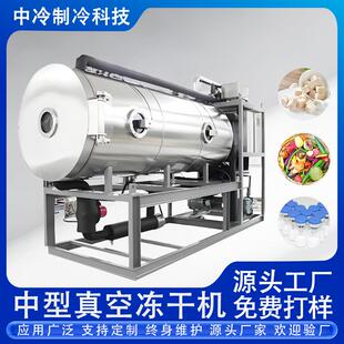 中型水蛭熊胆鹿茸真空冻干机小型天麻黄精人参真空冷冻干燥机厂家