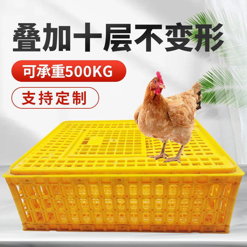 塑料鸡笼周转箱鸡用运输笼鸭鸡苗周转筐鸽子兔用加厚养殖筐鸡笼子