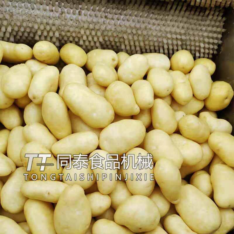 厂家新款多功能土豆清洗机 土豆脱皮机 土豆去皮机 土豆水洗机器