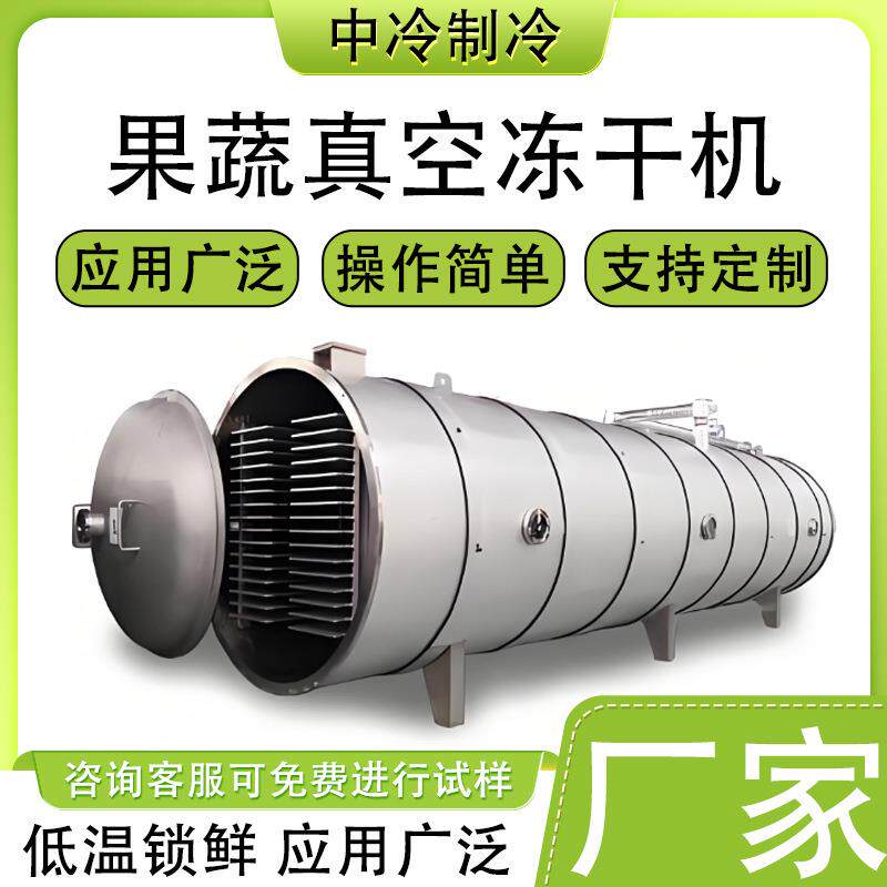 全自动无花果榴莲草莓真空冻干机商用果蔬脆宠物食品冻干设备厂家