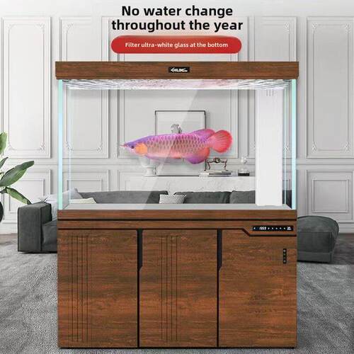 鱼缸大底过滤客厅水族家用超白玻璃生态水无变化龙鱼鱼缸隔断屏