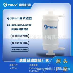 直径89mm大流量囊式 过滤器耐酸碱腐蚀5英寸10英寸20英寸