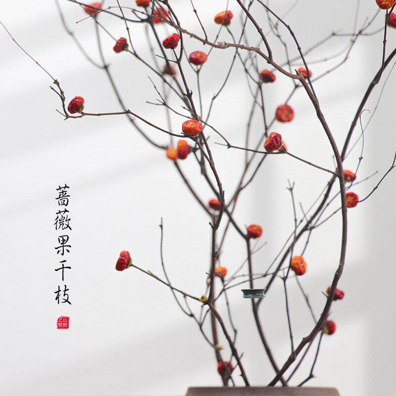 蔷薇果干 干树枝枯梅花天然干 干燥花枝玄关壁龛装饰摆饰客厅禅意