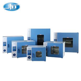 上海一恒 电热恒温箱 烤箱 实验室烘箱 DHG系列电热鼓风干燥箱