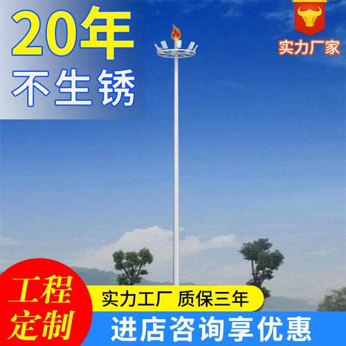 定制户外广场杆灯足球场LED港口码头8-40米固定式杆灯