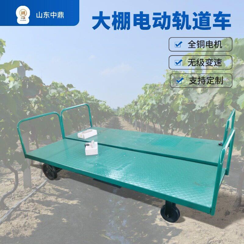 定制大棚轨道车大鹏温室运输搬运电动车农用果园大棚蔬菜运输