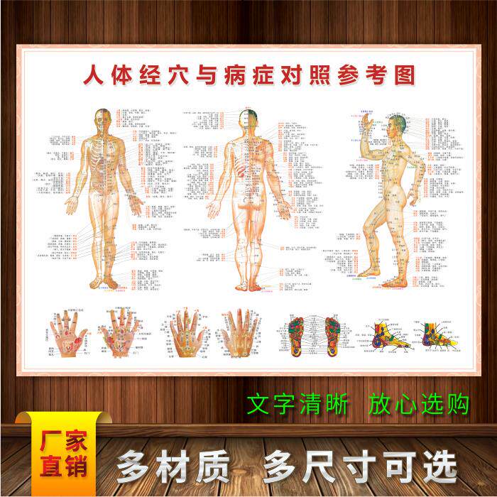 人体穴位图大挂图中医养生男性十二经络穴位男性针灸艾灸拔罐海报