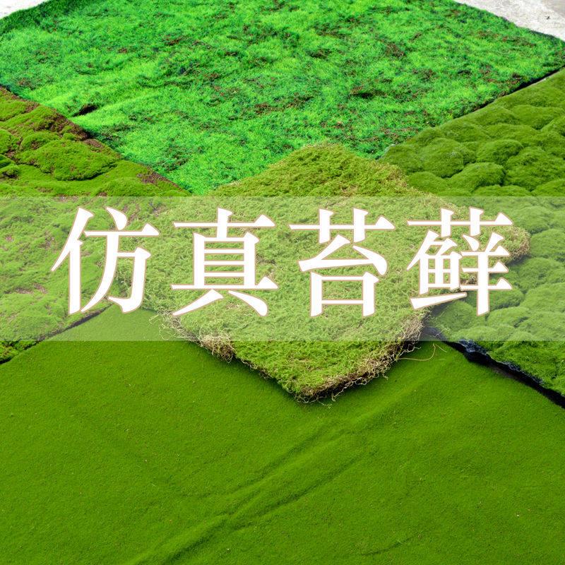 仿真苔藓草坪青苔草皮植物墙背景面婚庆铺地装饰青苔枯山水软装
