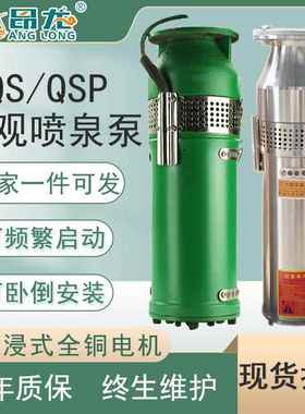 QSP喷泉38V音乐喷泉水产养殖泵不锈钢过滤耐0频繁启动喷泉泵