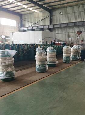 BQS350-10-30/N潜水泵 运行平衡 多级叶轮 矿用排沙排污泵