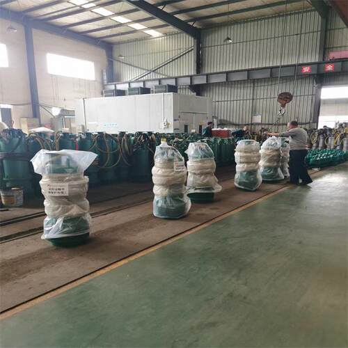 BQS800-90-315/N潜水泵 防缠绕无堵塞 矿用隔爆型潜水排沙电泵