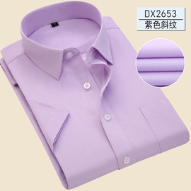 2024夏季薄款衬衫男短袖商务，休闲职业工装，浅紫色斜纹衬衣男款青年