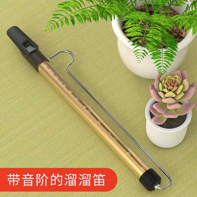 新款带音哨阶溜溜笛子乐滑动笛笛吹气笛 专器业拉杆六滑笛老专业