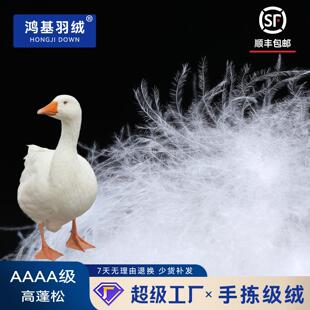 鸿基高蓬松清水货羽绒95白鹅绒制衣制被4A白鹅绒现充用高洁净