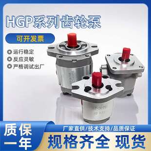 F23R F4R F11R F14R F13R F6R HGP F25R齿轮泵 F17R F19R F8R