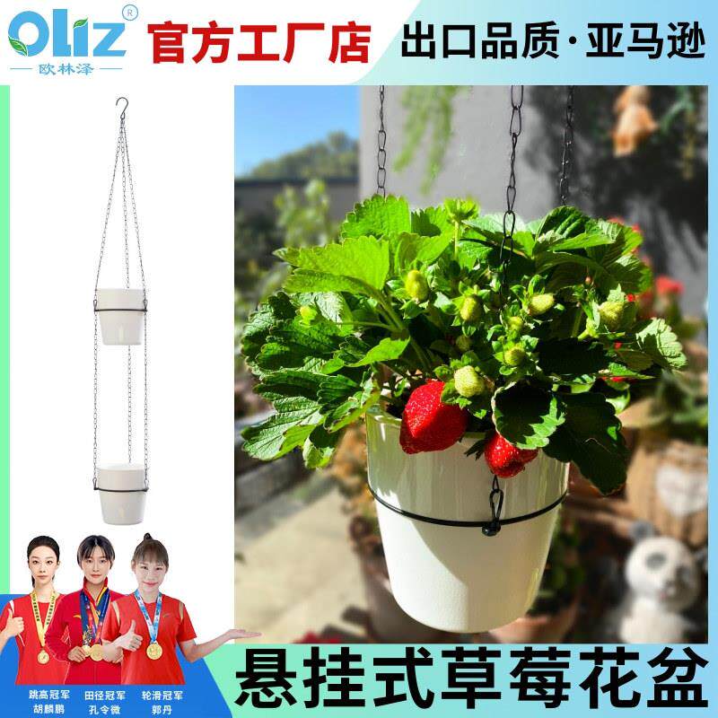 花工厂悬挂懒人A605/A60花双层种植盆铁链吊中花盆壁盆挂空花盆储