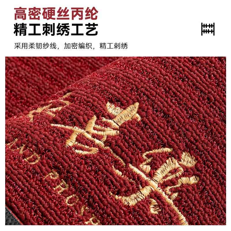 入户地垫2026新款别墅感玄关地毯家用耐脏免洗可擦进门口脚垫
