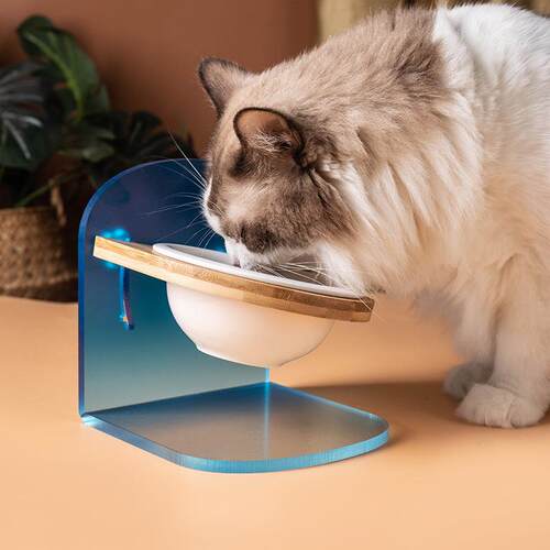 升降调节狗碗陶瓷猫碗护颈宠物喂食盆可调节角度喝水宠物碗猫粮碗