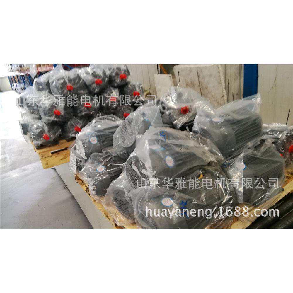 泰富西玛文宝电动机端盖YL/YC132M-8-3电机失电制动以防锈蚀损伤
