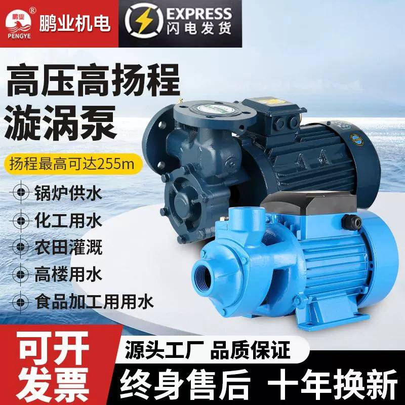 W型高扬程高压旋涡泵380v锅炉蒸汽产生器水泵给水保湿管道增压泵