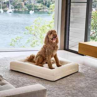 寵物沙發(fā)床加厚睡墊寵物窩墊人類狗床矩形床Rectangular 新品 bed