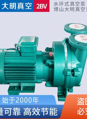 淄博厂家直供4W水环式真空泵铸铁不锈钢2BV5110水环式真空泵