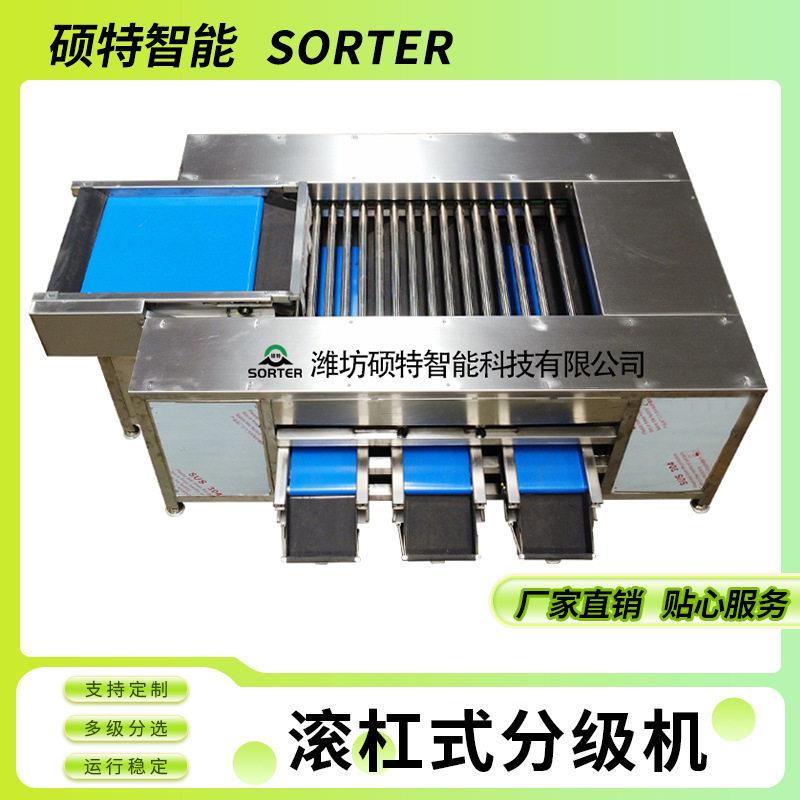 山楂滚杠选果机金桔大小分选机胡萝卜直径分级机龙眼分拣设备