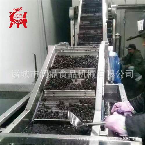 供应海蛎子去污泥清洗机 效商用海产品清洗加工流水线