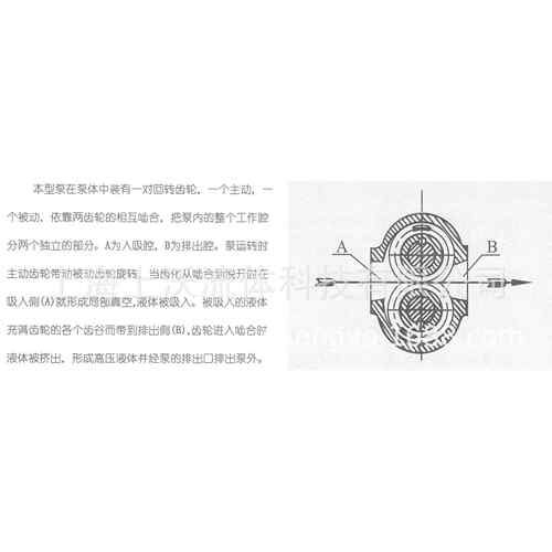 齿轮泵厂家 供货YCB12-0.6型圆弧液压润滑齿轮油泵(量大从优 )
