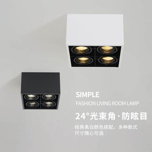 明装三头四头斗胆灯无主灯LED天花灯蜂窝网防眩目双头射灯合仔灯