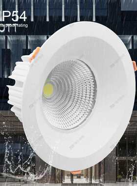 嵌入式COB LED筒灯50瓦60瓦80瓦100W 开孔195mm 砂银 银色 砂金