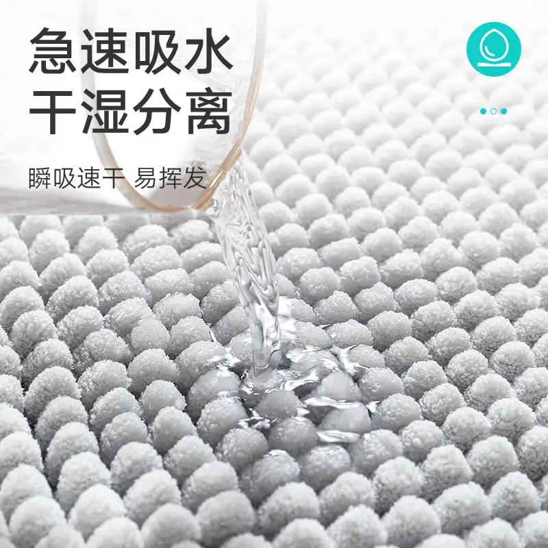 浴室防滑垫防摔地垫高端卫生间速干2024新款卫生间门口吸水地毯子